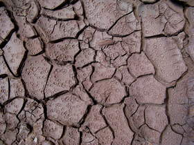 The impressions of rain drops on the mud in Buckskin Gulch.