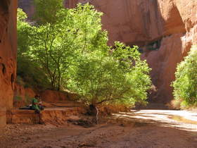 Steve engaging in his favorite past time (eating, not sitting).