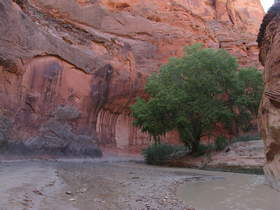 Paria Canyon.