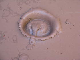 Long after the rock hit bottom, the splash remains on the surface of a mud pit in Paria Canyon.