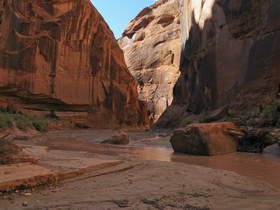 Paria Canyon near camp.