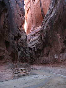 Buckskin Gulch covered in ankle deep muck near the Paria River confluence.