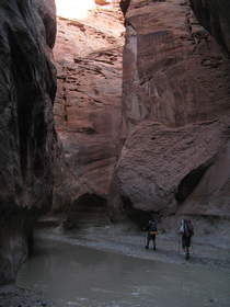 Steve and Chuck hiking in Paria Canyon.