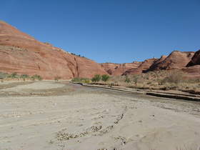 Paria Canyon.