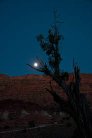 Moon rise over the Coyote Buttes.