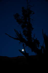 Moon rise over the Coyote Buttes.