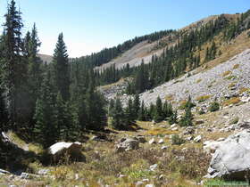 Near the Truchas Peaks in the Sangre de Cristo Mountains.