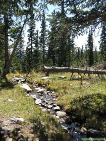 A stream near Truchas Lake.