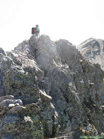 Steve has climbed so high he's practically in the sun!