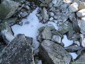 Snow!  It was a bad snow year in the Sangre de Cristo Mountains.