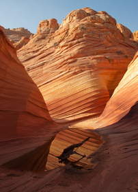 A tinaja near the Wave in Coyote Buttes North.