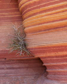 Sandstone formation near the Wave in Coyote Buttes North.