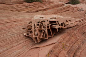 A block of boxwork sandstone near Upper Buckskin Gulch.