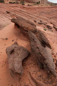 A large agglomeration of iron nodules near Upper Buckskin Gulch.