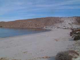 Looking east down the beach at Ensenada Alcatraz.