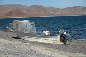 The fisherman were using this traps for some kind of sea bass, I think.