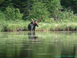 He took a good hard look at us when my SLR started rewinding.