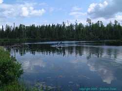 Brian paddles the kayak around solo.