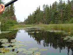 Paddling down Tucker River.