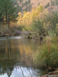 A shallow pool on Chevelon Creek.