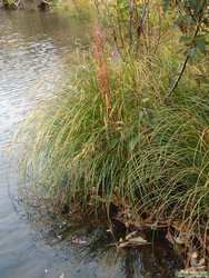 Even the blades of grass were changing color.