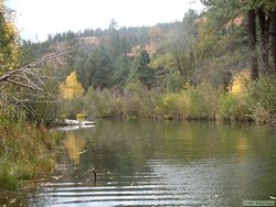 A beautiful pool on Chevelon Creek.