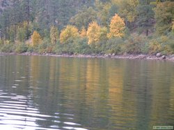 Changing leaves on Chevelon Lake.