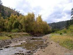 Chevelon Creek flowing into the lake.