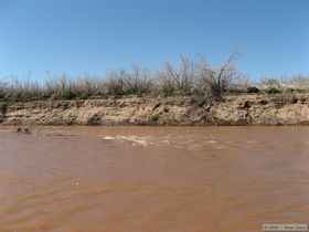 The daunting rapids of the mighty Salt River!  (imagine scary music here)