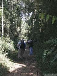 Looking for birds along the trail.