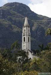 The church spire reaching up out of the trees.