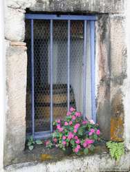 In the courtyard.