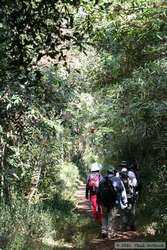 Hiking along the trail.