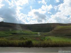 Most of the rainforest has been converted into agriculture.