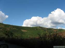 Most of the rainforest has been converted into agriculture.