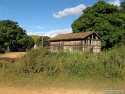 The old coffee plantation.