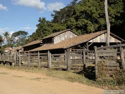 The old coffee plantation.