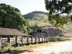 The old coffee plantation.