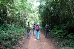 Hiking through the Muriqui Preserve