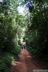 Along the trail.