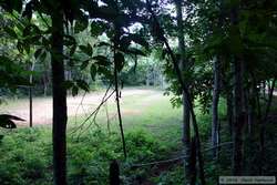 Every hamlet has a soccer field, and the Muriqui Preserve is no different.  It was uneven, rocky, and small, but it wasn't the worst we saw in Brazil.  Actually, it kind of reminds me of Tucson soccer fields!