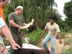 Chuck holds the young Pantanal Caiman  (Caiman yacare)