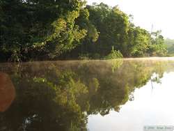 Mist over Rio Cristalino.