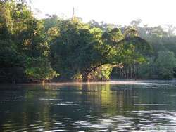 Mist over Rio Cristalino.