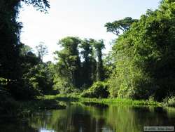 An oxbow lake along Rio Cristalino.