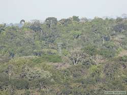 The	view from the overlook.  The tower is visible in the middle ground.