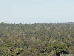 The	view from the overlook.  The tower is visible in the background.