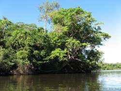 Near the confluence of the Rio Cristalino and the Rio Teles Pires.