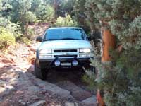 Seapahn climbs a ledgy hill on Soldier Pass Trail.